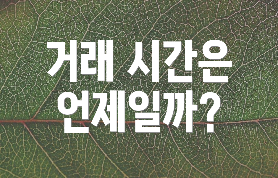 거래 시간은 언제일까?