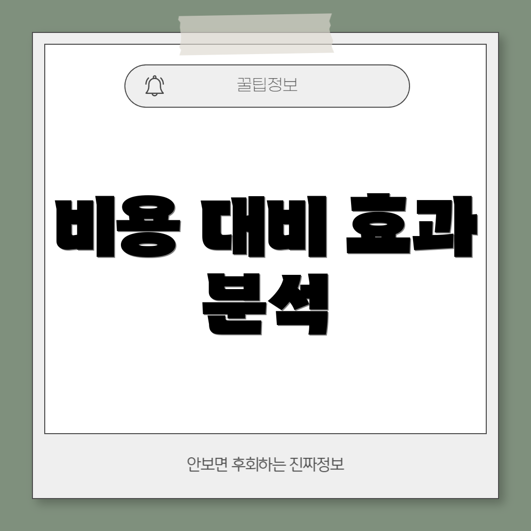 비용 대비 효과 분석