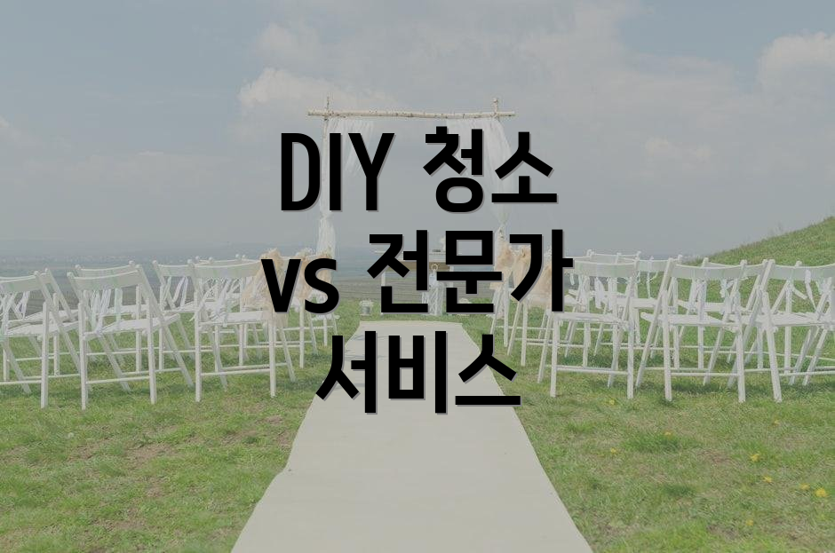 DIY 청소 vs 전문가 서비스