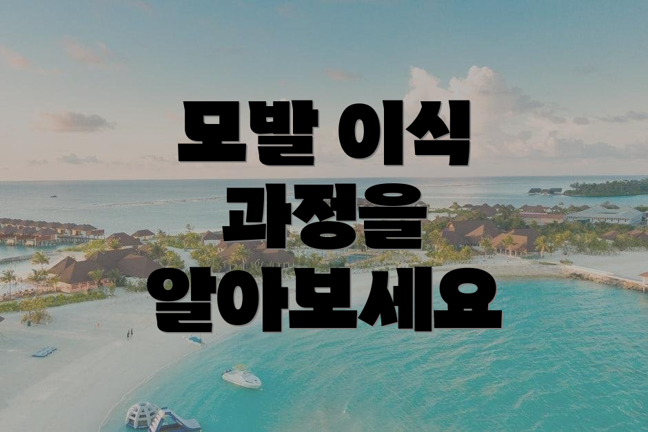 모발 이식 과정을 알아보세요