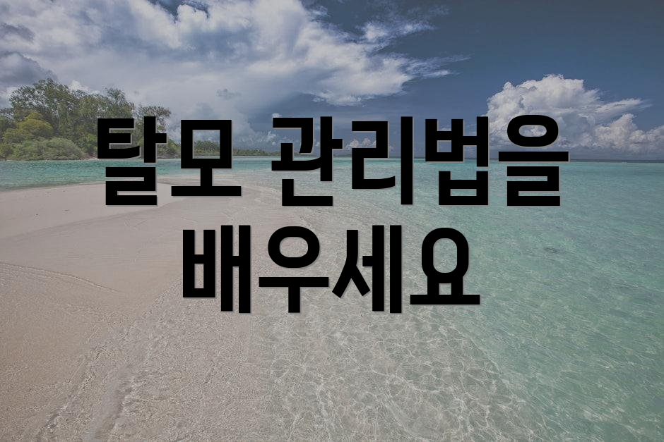 탈모 관리법을 배우세요