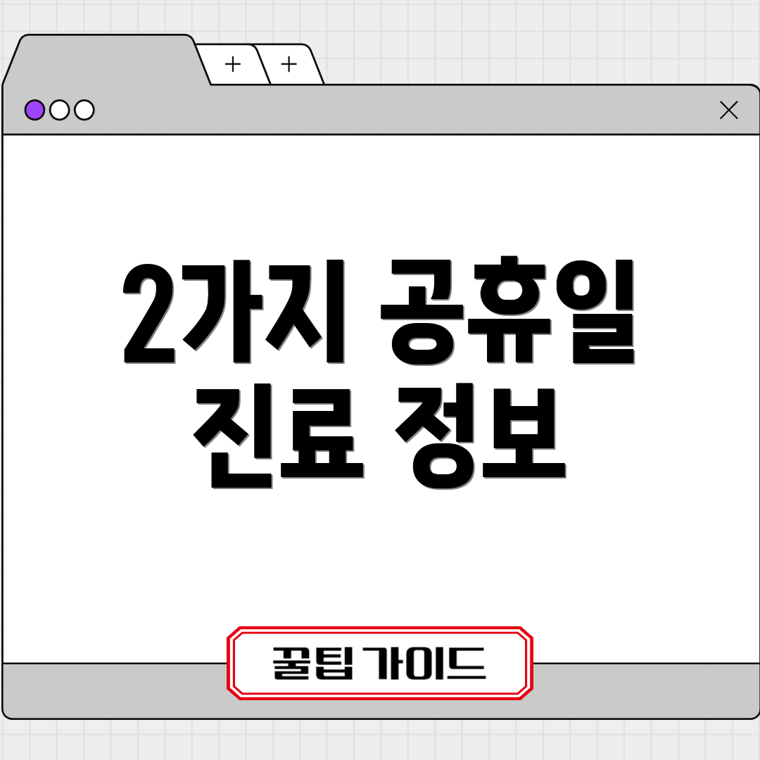 2가지 공휴일 진료 정보