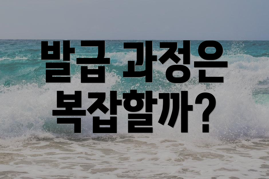 발급 과정은 복잡할까?