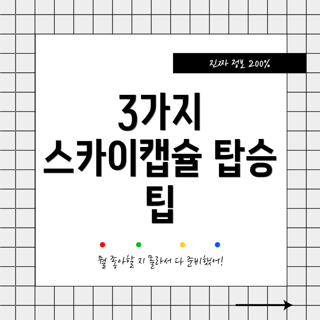 3가지 스카이캡슐 탑승 팁