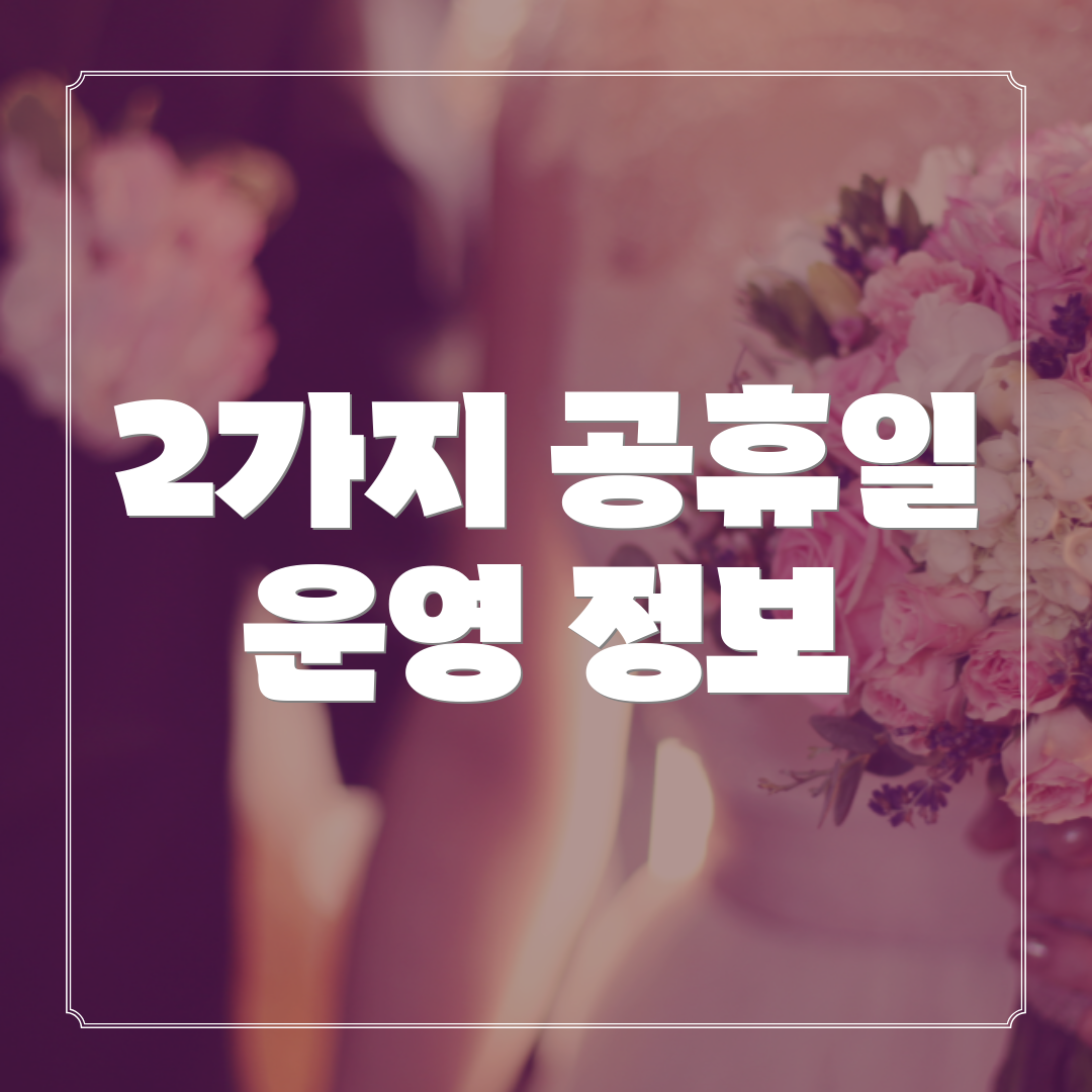 2가지 공휴일 운영 정보
