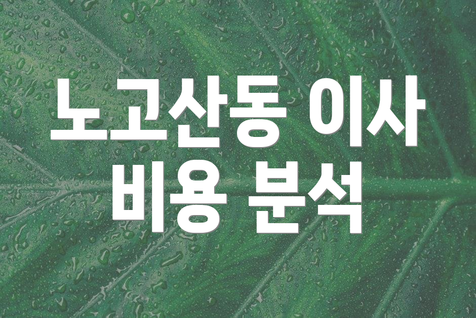 노고산동 이사 비용 분석