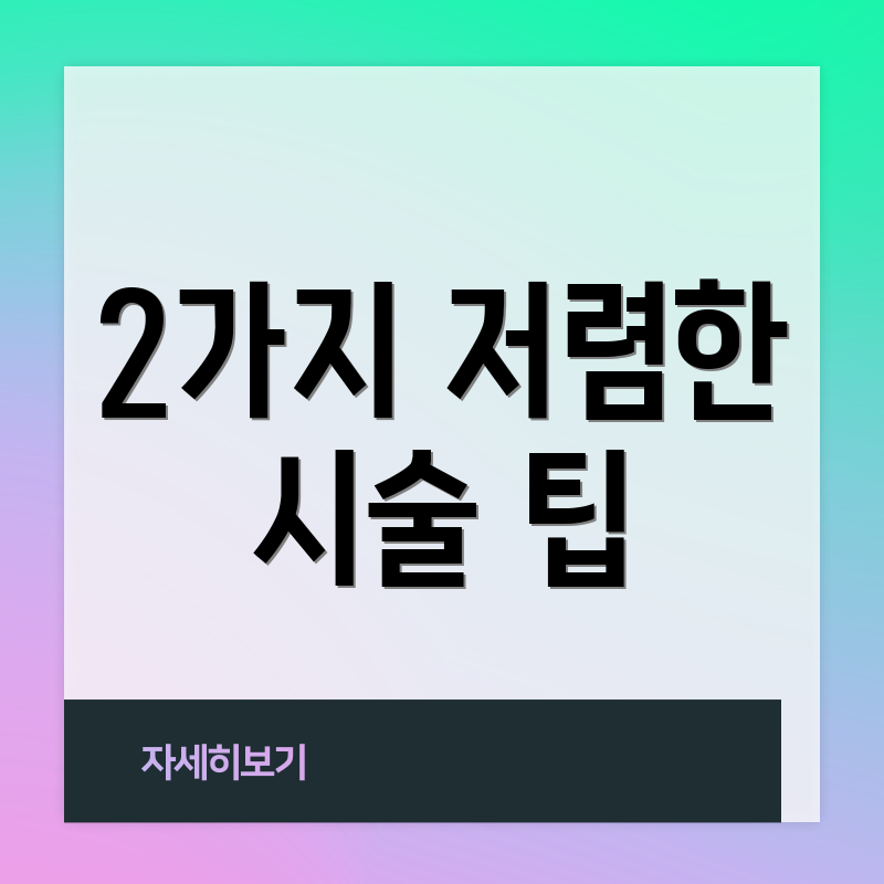 2가지 저렴한 시술 팁