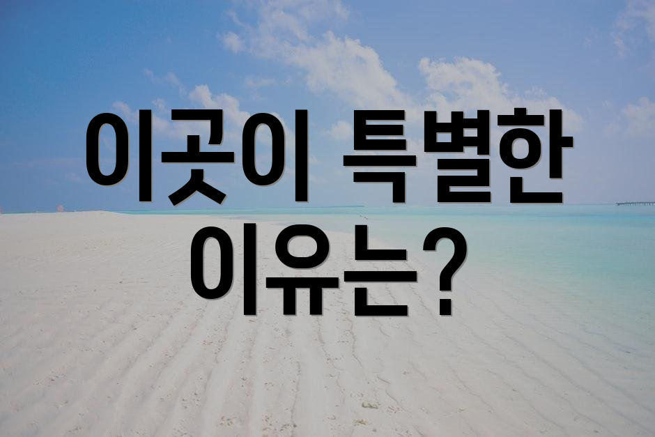 이곳이 특별한 이유는?