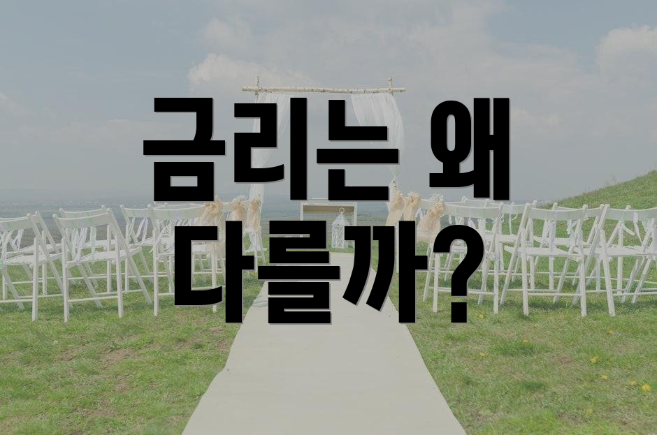 금리는 왜 다를까?