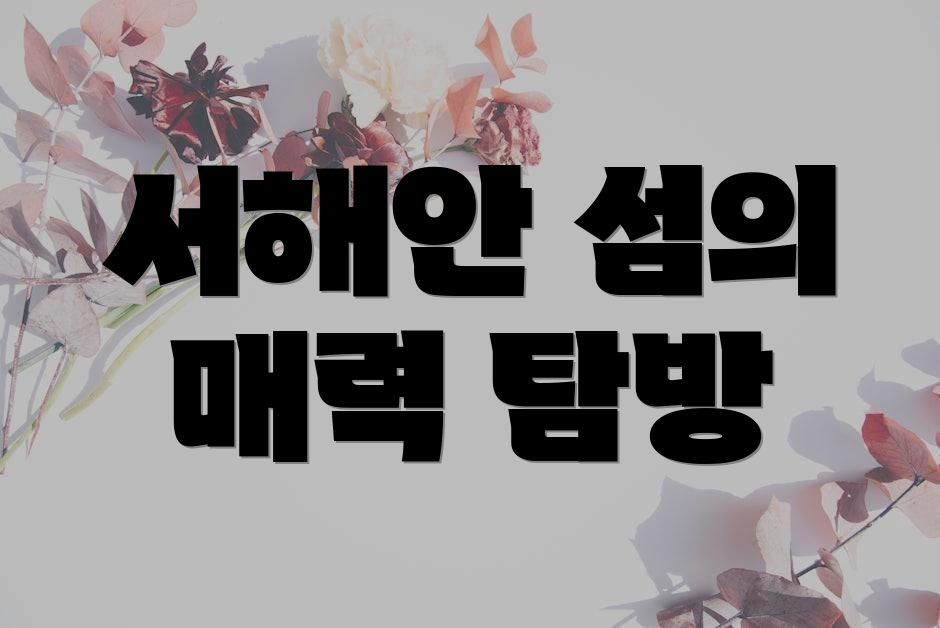 서해안 섬의 매력 탐방