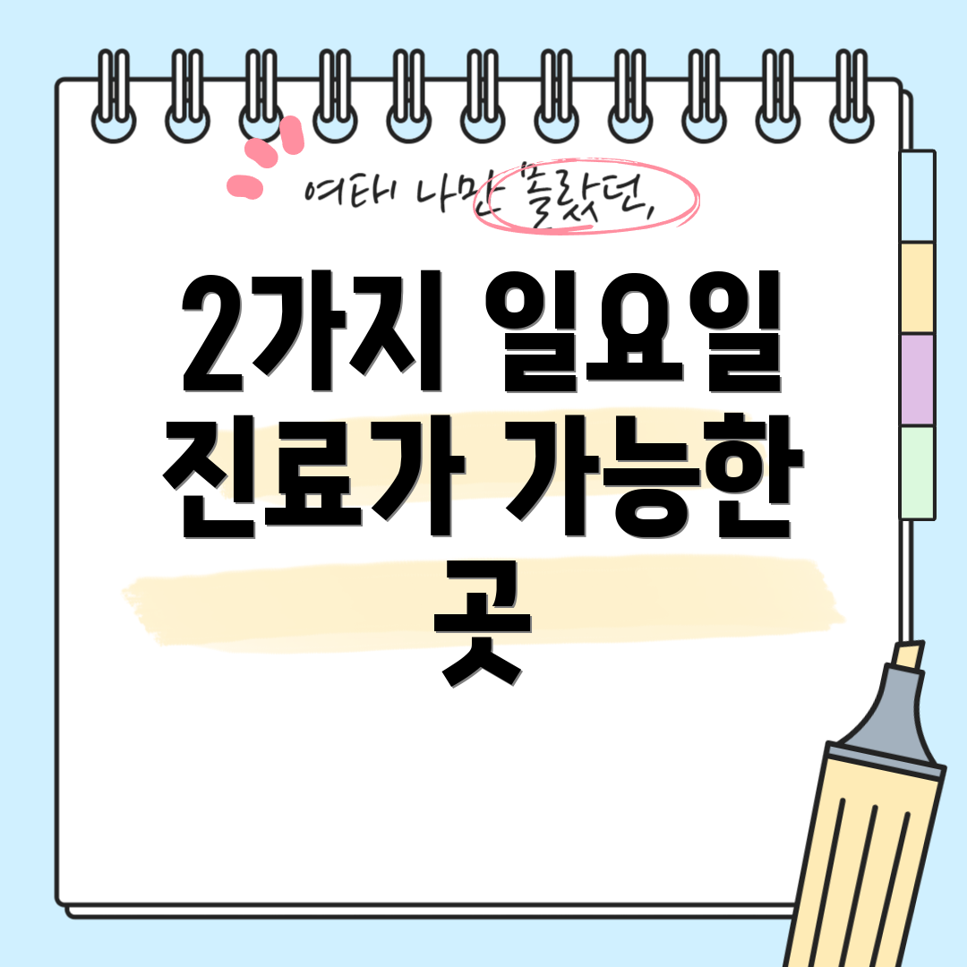 2가지 일요일 진료가 가능한 곳