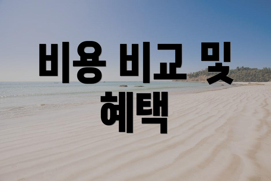 비용 비교 및 혜택
