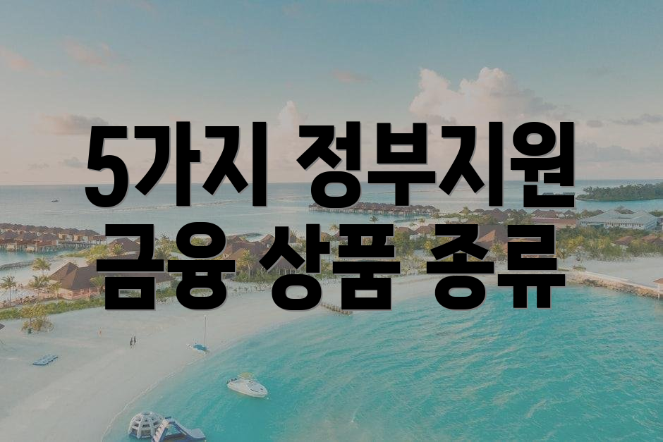 5가지 정부지원 금융 상품 종류