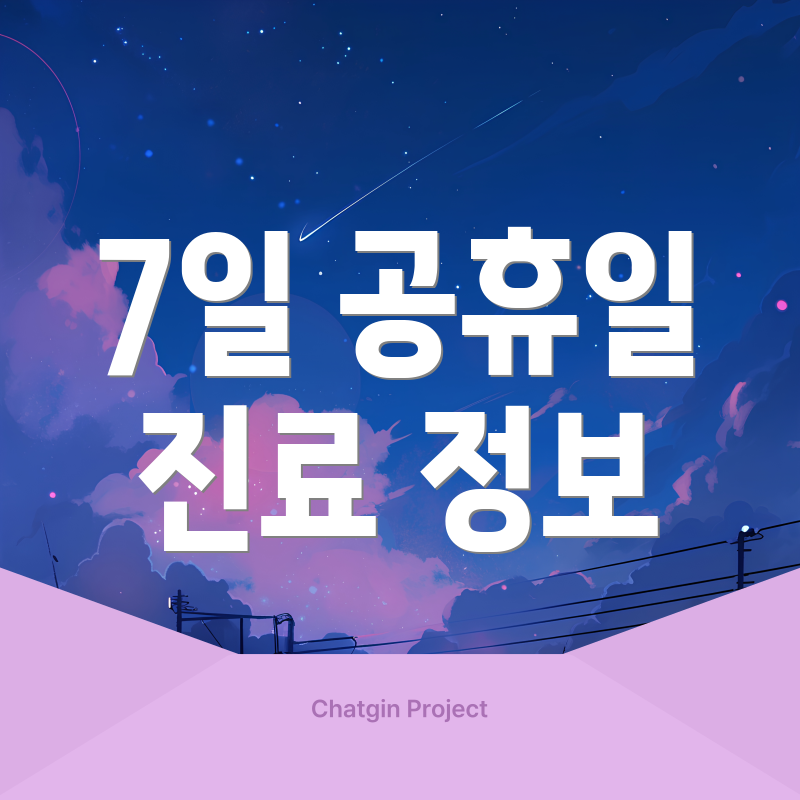 7일 공휴일 진료 정보