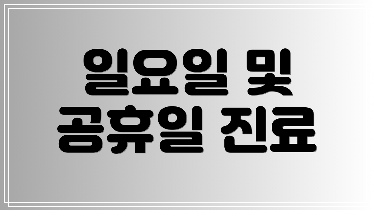 일요일 및 공휴일 진료