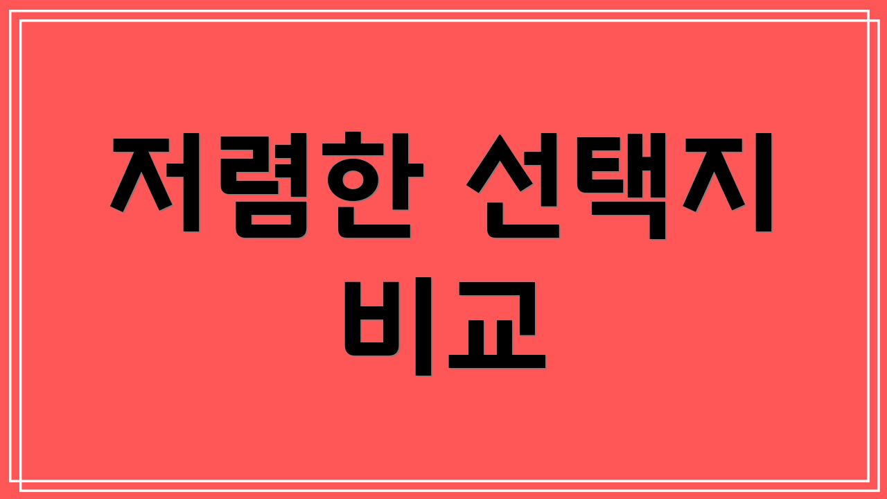 저렴한 선택지 비교