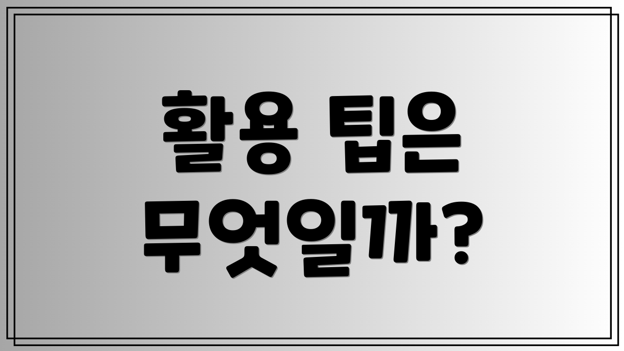 활용 팁은 무엇일까?