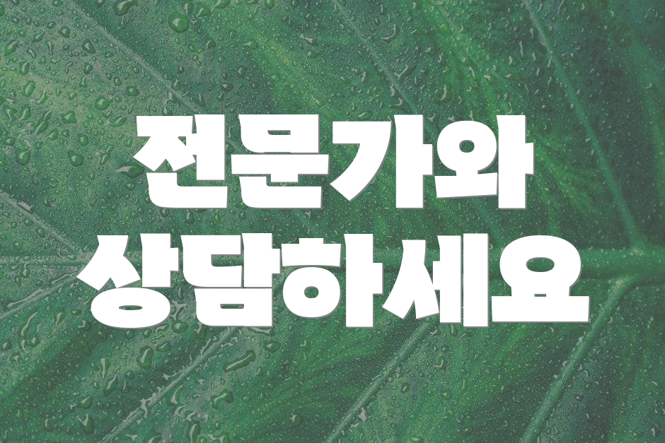 전문가와 상담하세요