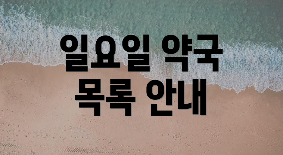 일요일 약국 목록 안내